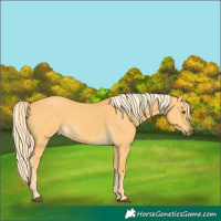 Horse Color:Palomino Dun 
