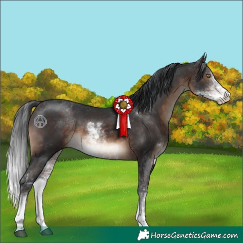 Horse Color:Brown Sabino 