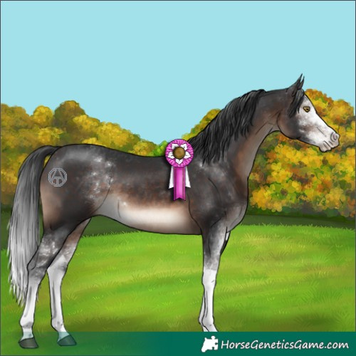 Horse Color:Brown Sabino 