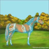 Horse Color:Thunderstruck Palomino Tobiano Varnish 