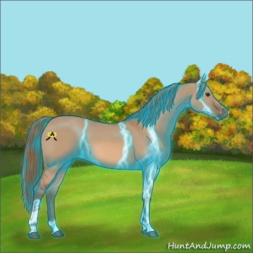 Horse Color:Thunderstruck Red Dun Tobiano 