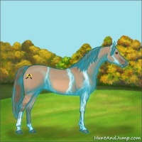 Horse Color:Thunderstruck Red Dun Tobiano 