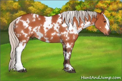 Horse Color:White Spotted Silver Brown 