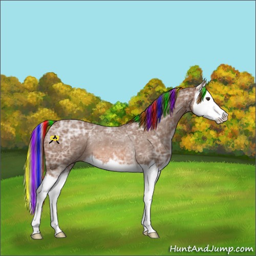 Horse Color:Painted Chestnut Ice Splash Rabicano 