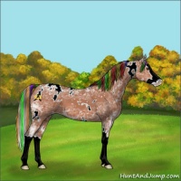 Horse Color:Painted White Spotted Bay Ice Splash Appaloosa 