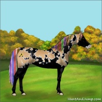 Horse Color:Painted White Spotted Palomino Splash 