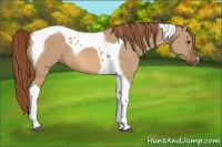 Horse Color:Red Dun Tobiano 