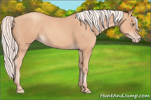 Horse Color:Silver Amber Champagne 