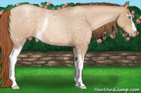 Horse Color:White Spotted Buckskin Roan Pearl