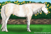 Horse Color:White Spotted Silver Buckskin Roan Pearl 