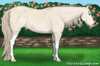 Horse Color:White Spotted Perlino Sabino