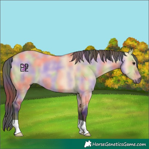 Horse Color:Nacre Bay Dun