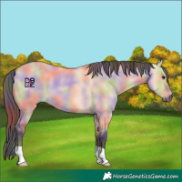 Horse Color:Nacre Bay Dun