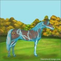 Horse Color:Thunderstruck Silver Black 