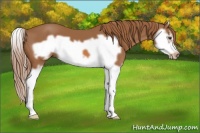 Horse Color:Chestnut Splash Frame 