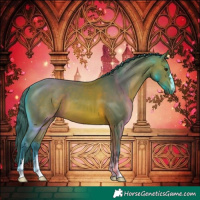 Horse Color:Watercolor Bay 