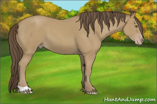 Horse Color:Classic Cream Champagne 