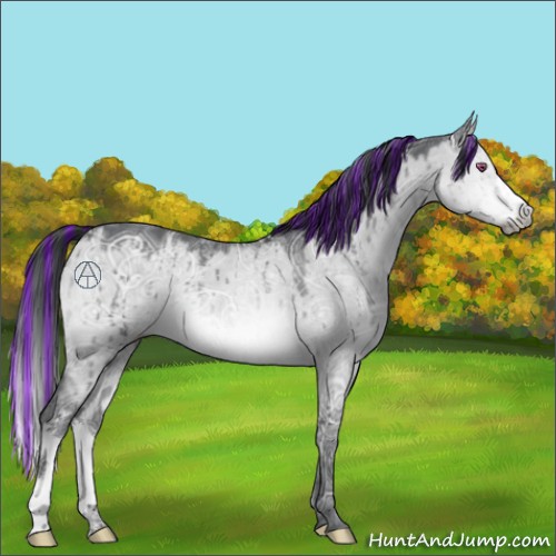 Horse Color:Painted Brown Chinchilla Ice Dun Brindle