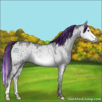 Horse Color:Painted Brown Chinchilla Ice Dun Brindle 