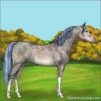 Horse Color:Painted Brown Ice Dun Mushroom Brindle 