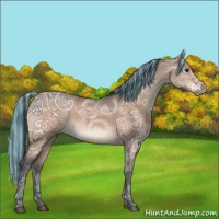 Horse Color:Painted Brown Ice Dun 
