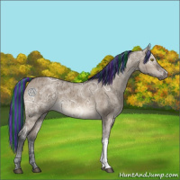 Horse Color:Painted Brown Ice Dun Brindle 