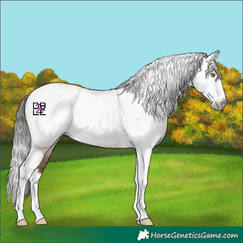 Horse Color:Gray Amber Champagne Splash Tobiano