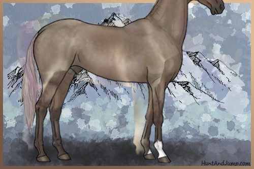 Horse Color:Silver Grullo 