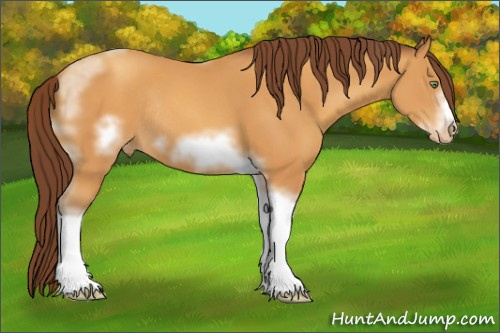 Horse Color:White Spotted Sable Cream Champagne Tobiano Frame Appaloosa Rabicano 