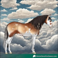 Horse Color:Bay Onyx Splash