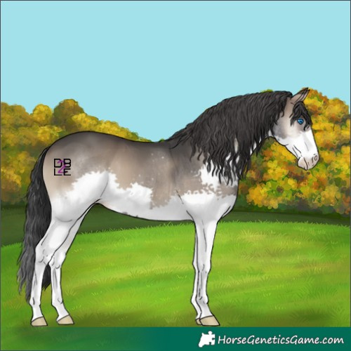 Horse Color:Blue Onyx Splash 