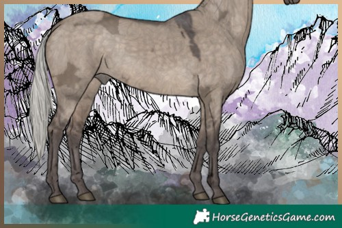 Horse Color:Silver Brown Ice Dun 