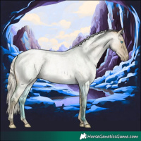 Horse Color:Silver Buckskin Ice Roan Pearl Dun 
