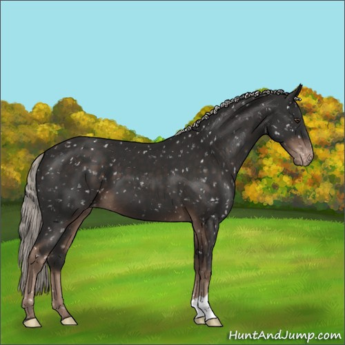 Horse Color:Liver Chestnut Mushroom Snowflake Varnish