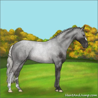 Horse Color:Liver Chestnut Mushroom Varnish 