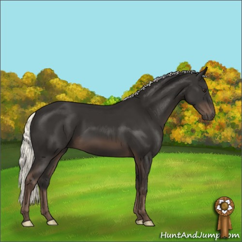 Horse Color:Liver Chestnut Mushroom 