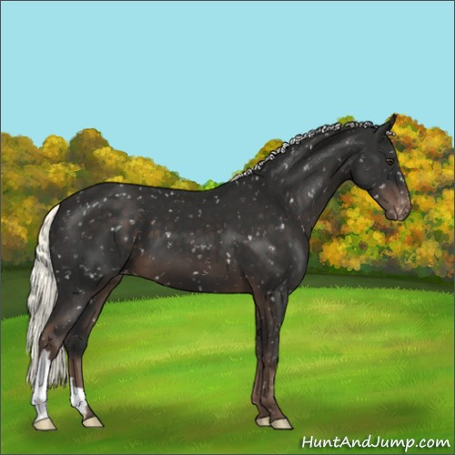 Horse Color:Liver Chestnut Mushroom Snowflake Varnish