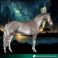 Horse Color:Void Platinum Silver Blue Onyx 