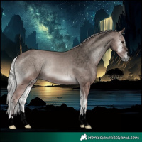 Horse Color:Void Platinum Silver Blue Onyx 
