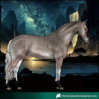 Horse Color:Void Platinum Silver Blue Onyx