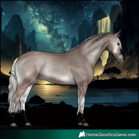 Horse Color:Void Platinum Silver Blue Onyx 