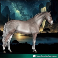 Horse Color:Void Platinum Silver Blue Onyx