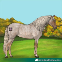 Horse Color:Chocolate Palomino Roan 