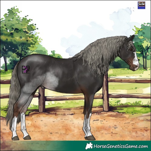 Horse Color:Liver Chestnut Mushroom 