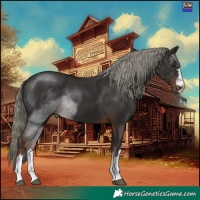 Horse Color:Liver Chestnut Mushroom 
