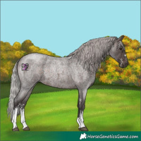 Horse Color:Silver Brown Roan Mushroom Sabino