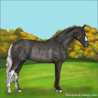 Horse Color:Liver Chestnut Mushroom Snowflake VarnishRabicano 