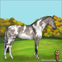 Horse Color:White Spotted Brown Dun Mushroom 
