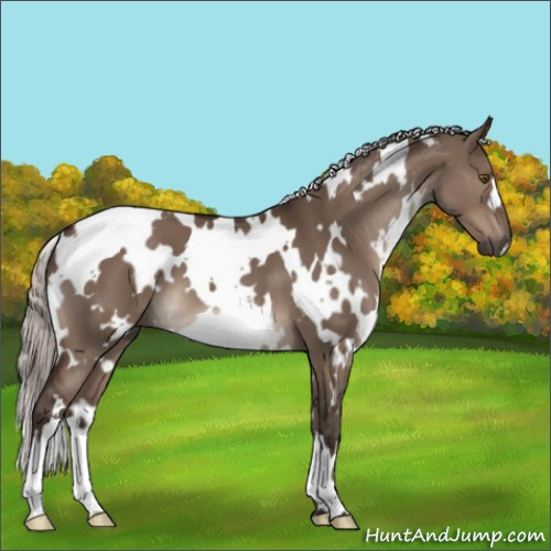 Horse Color:White Spotted Silver Brown Dun Mushroom 