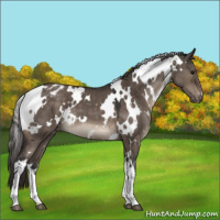 Horse Color:White Spotted Brown Dun Mushroom Varnish 